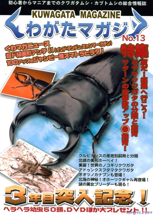 くわがたマガジン13号 サタンオオカブトの産卵数アップ マル秘飼育
