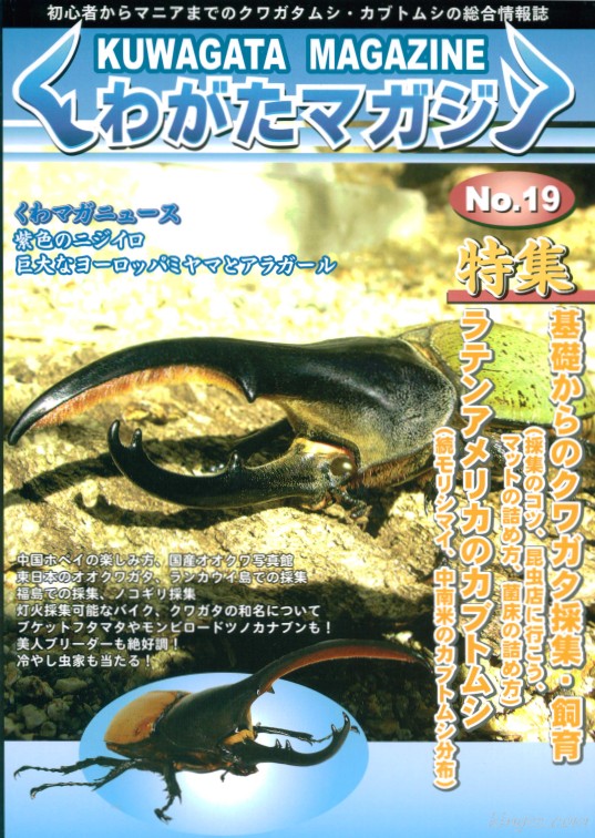 くわがたマガジン19号 続ヘラクレス亜種形質比較 - モリシマイ