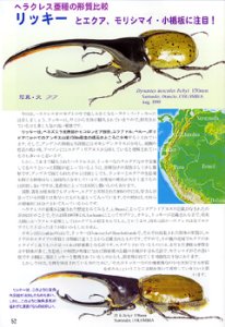 特集 ヘラクレス亜種の形質比較
