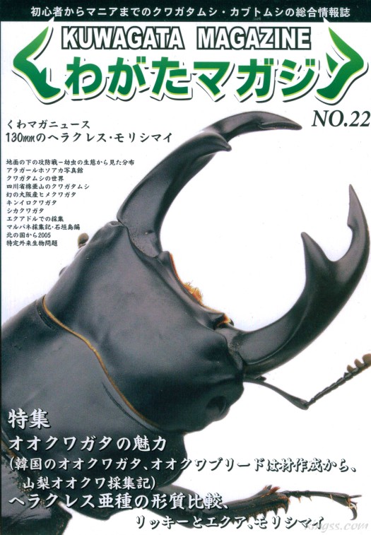 くわがたマガジン22号 オオクワガタの魅力/ヘラクレス亜種の形質比較