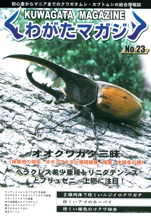 くわがたマガジン23号 オオクワガタ三昧/ヘラクレス亜種の形質比較(トリニダデンシスとブリュゼニ)
