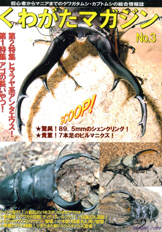 くわがたマガジン3号 ディディエールシカクワガタ/シロカブトの累代飼育