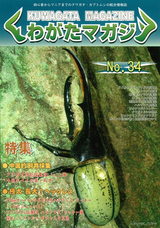 くわがたマガジン34号 極太・長大ヘラクレス / ダイオウヒラタ写真館