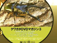 クワガタ・カブトムシDVD