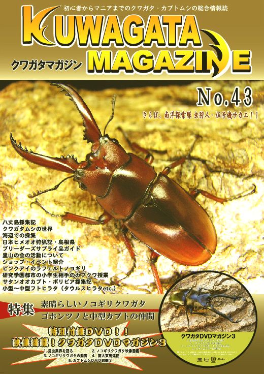 くわがたマガジン43号(豪華DVD付録つき) ノコギリクワガタ特集/ゴホンツノ