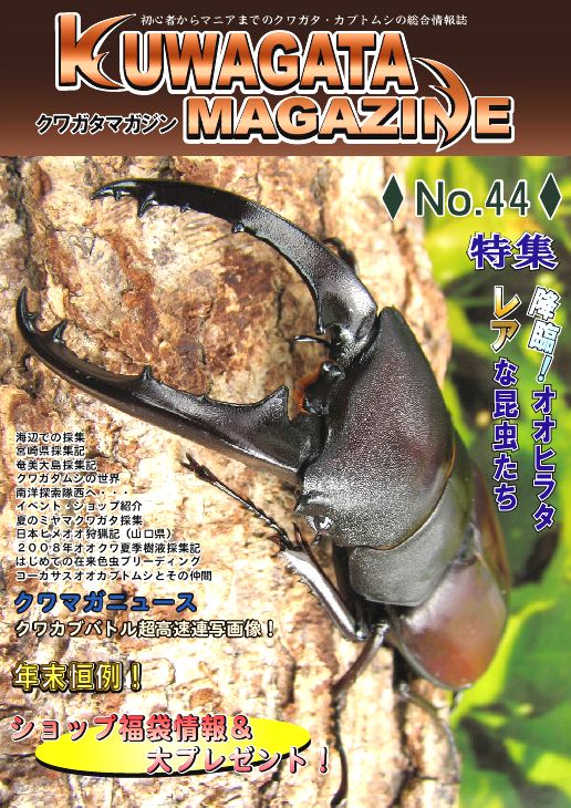 くわがたマガジン４４号　オオヒラタ / レアな昆虫たち