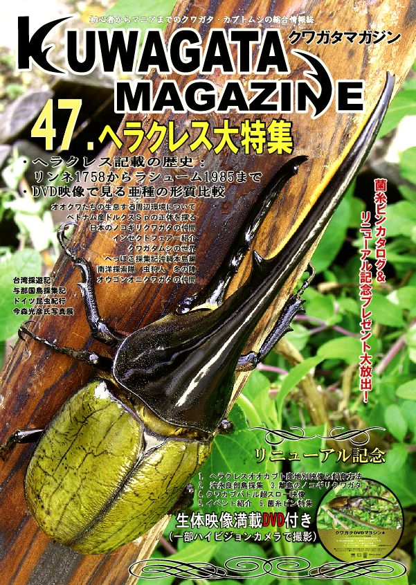 くわがたマガジン47号 ヘラクレス大特集・飼育用品特集(菌糸瓶)