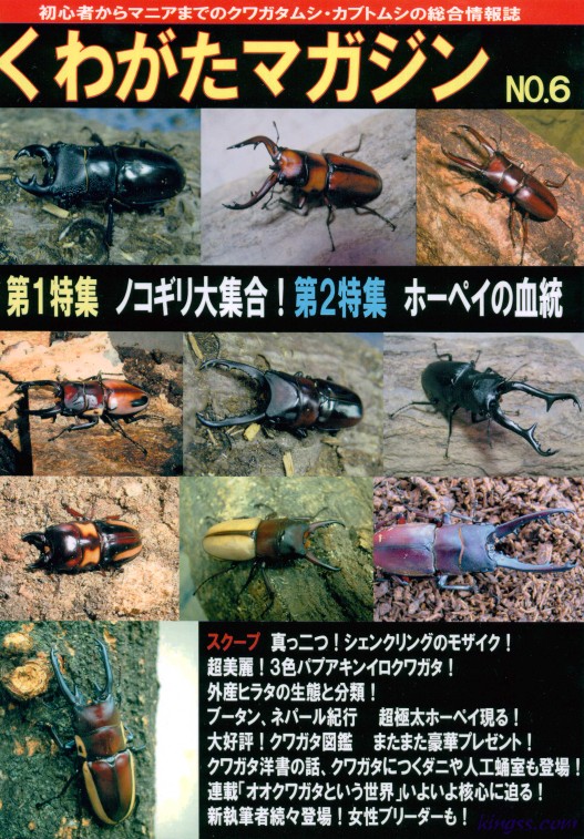 くわがたマガジン6号 ノコギリクワガタ特集