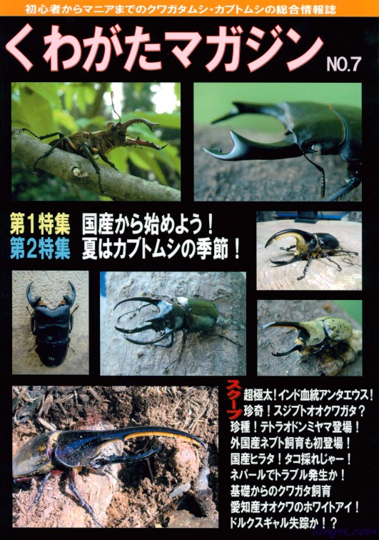 くわがたマガジン7号 超極太!インド血統アンタエウス