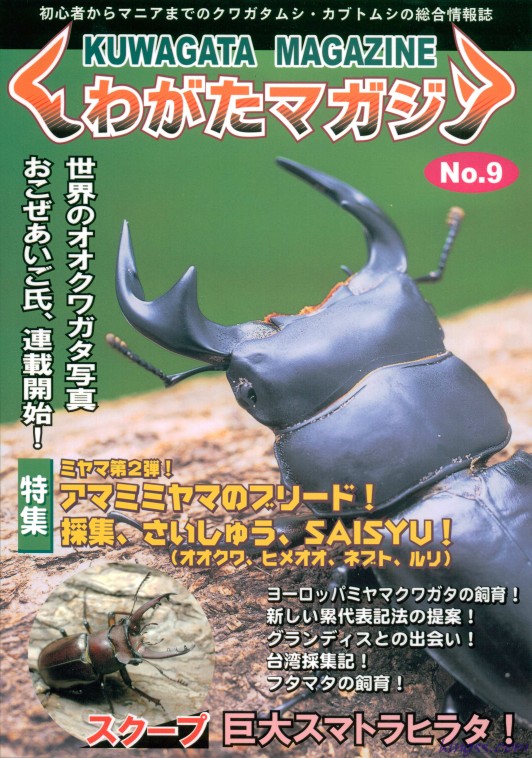 くわがたマガジン9号 ヨーロッパミヤマクワガタ累代飼育