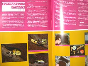 ティティウスのブリードにチャレンジ