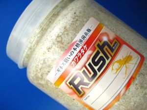 �J�����^�P�ێ��r�uRush�v�@�v���W�O�O[014]