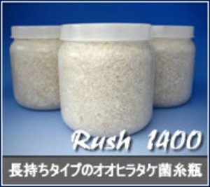 �ێ��v��Rush�P�S�O�O�i�������^�C�v�j[357]