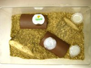 ���ʂ��Y���}�b�g�@�P�OL[405]