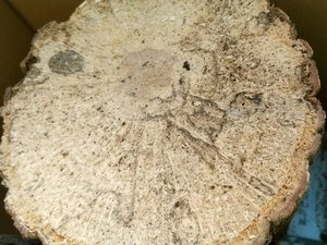 �N�k�M���ߍ�[430]