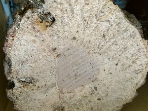 �N�k�M���ߍ�[430]