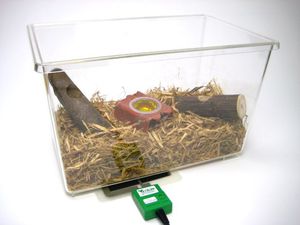 �G�R�p�l���q�[�^�[�y�UW�z[457]