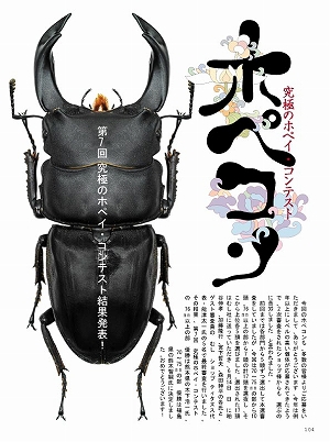 �r�[�N���R�Q���@DVD�t��[471]