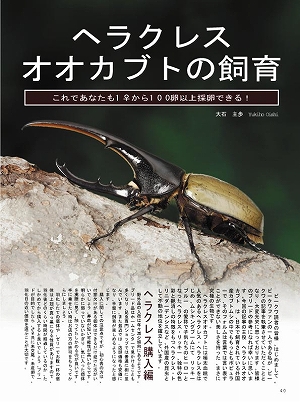 �r�[�N���R�Q���@DVD�t��[471]