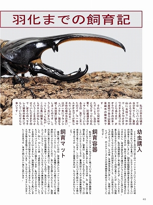 �r�[�N���R�Q���@DVD�t��[471]