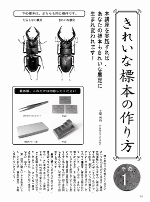 �r�[�N���R�Q���@DVD�t��[471]