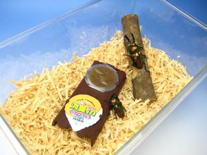 �[���[�z���_�[���y���C�h�R�O�z��[473]