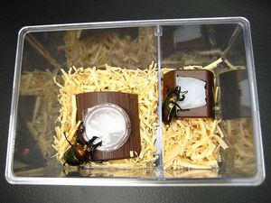 �N���A�[�X���C�_�[[474]