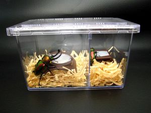 �N���A�[�X���C�_�[[474]