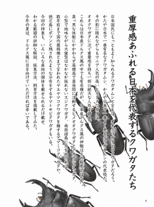 �r�[�N���V�P��[047]