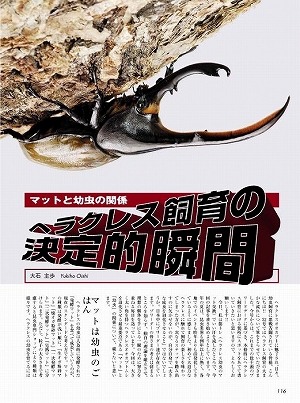 �r�[�N���R�R��[483]