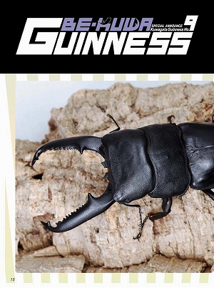 �r�[�N���R�R��[483]