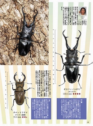 �r�[�N���R�R��[483]