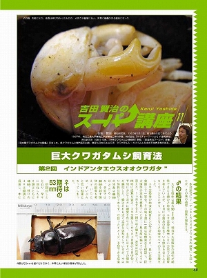 �r�[�N���R�R��[483]