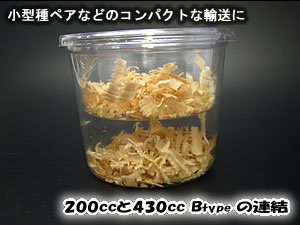 �v�����J�b�v�S�R�Occ�@�y���[�ꁚ B�^�C�v�z[507]