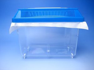 �h�o�G �R�ۃV�[�g�y���b�V���^�C�v�z[511]