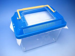 �h�o�G �R�ۃV�[�g�y���b�V���^�C�v�z[511]