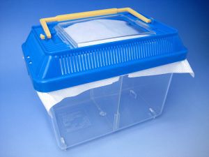 �h�o�G �R�ۃV�[�g�y���b�V���^�C�v�z[511]