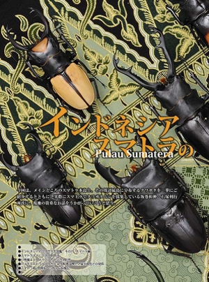 �r�[�N���R�W��[526]