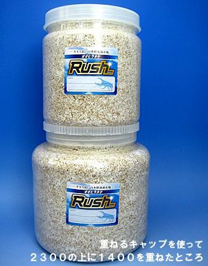 �N���A�{�g���P�S�O�O/�Q�R�O�O�p�L���b�v[558]