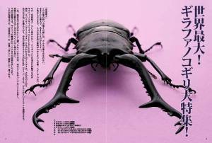 �r�[�N���S�R��[577]