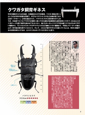 �r�[�N���S�T��[588]