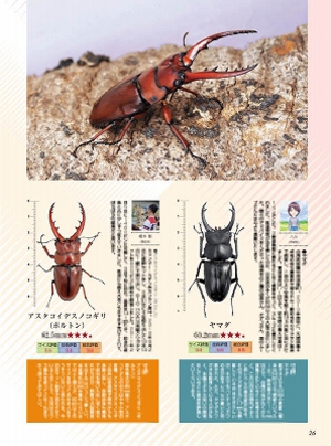 �r�[�N���S�T��[588]