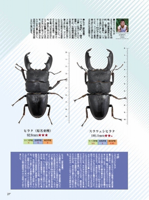 �r�[�N���S�T��[588]