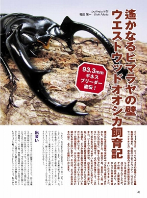 �r�[�N���S�T��[588]