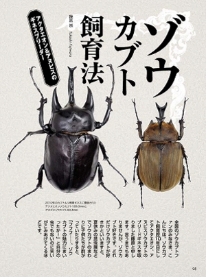 �r�[�N���S�T��[588]