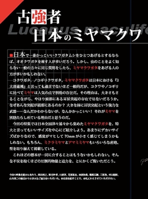 �r�[�N���S�V��[595]