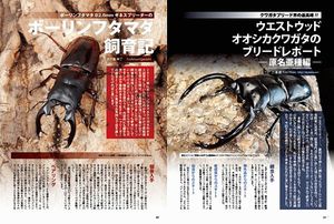 �r�[�N���T�O��[609]