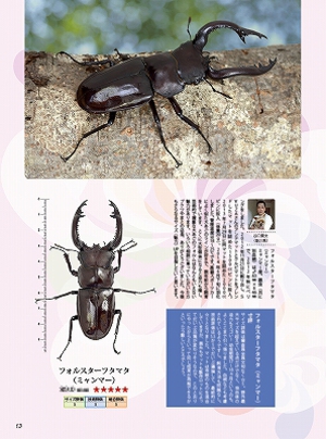 �r�[�N���T�R��[617]