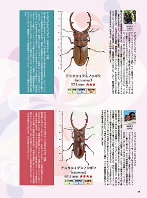 �r�[�N���T�R��[617]