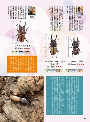 �r�[�N���T�R��[617]